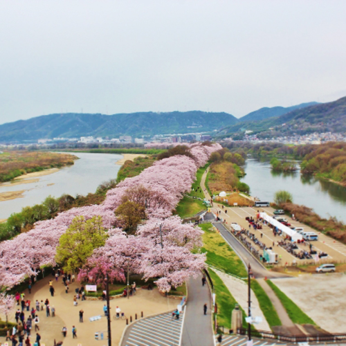 ZENBI ― 鍵善良房 ―